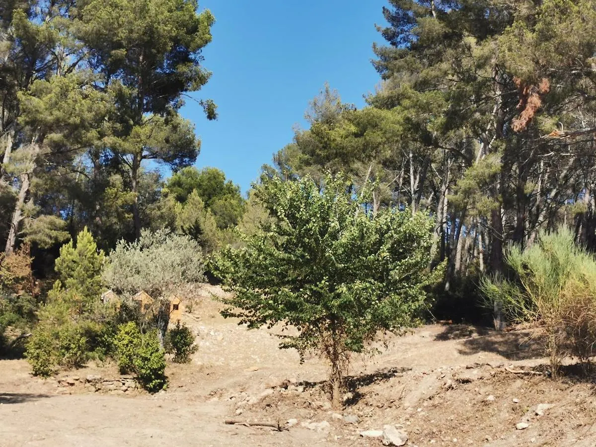 Kemp Adorable Tente Avec Parking Gratuit Sur Place La Ciotat Francie